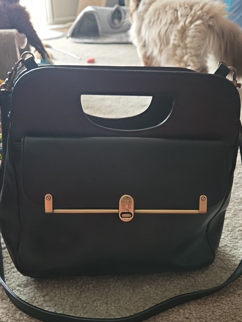 Etienne Aigner Black Satchel with Gold Hardware